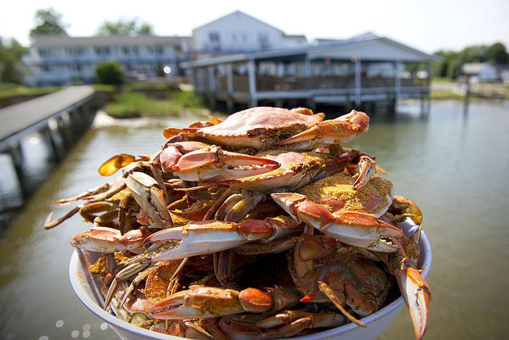 Chesapeake House Tilghman Island Eksteriør billede